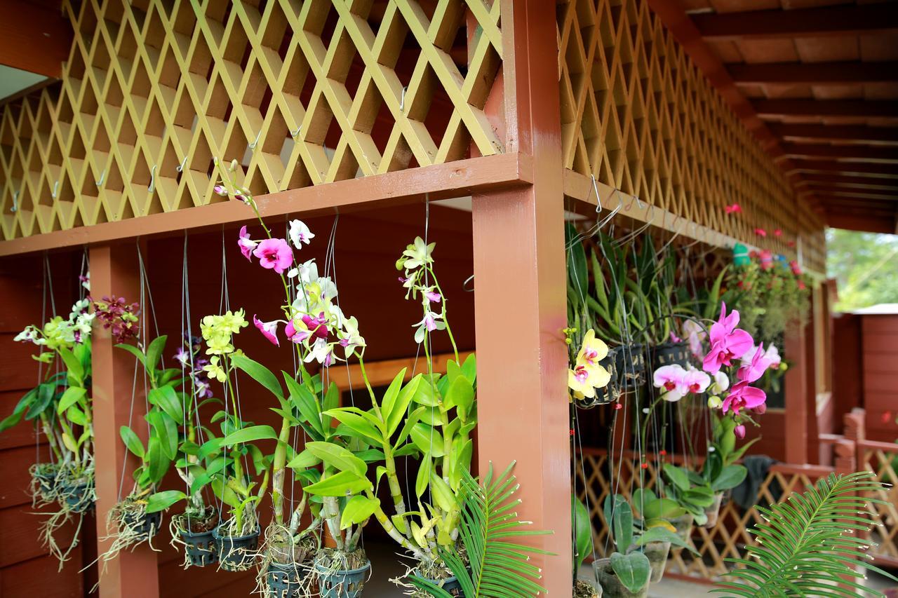 Essence Motel Kalaw Luaran gambar