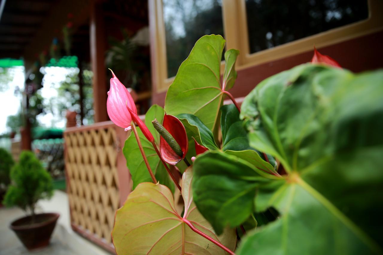 Essence Motel Kalaw Luaran gambar